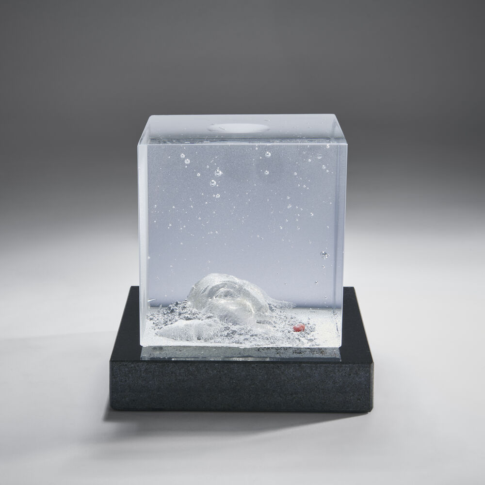 KOSTA BODA Under surface II